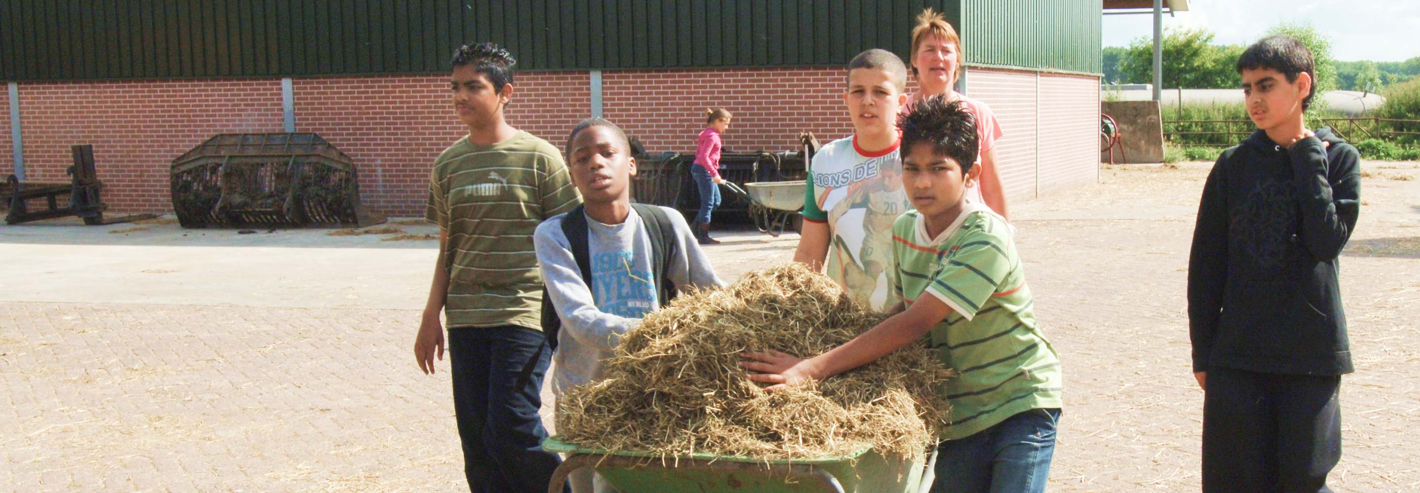 Kinderen helpen met het stro op de boerderij