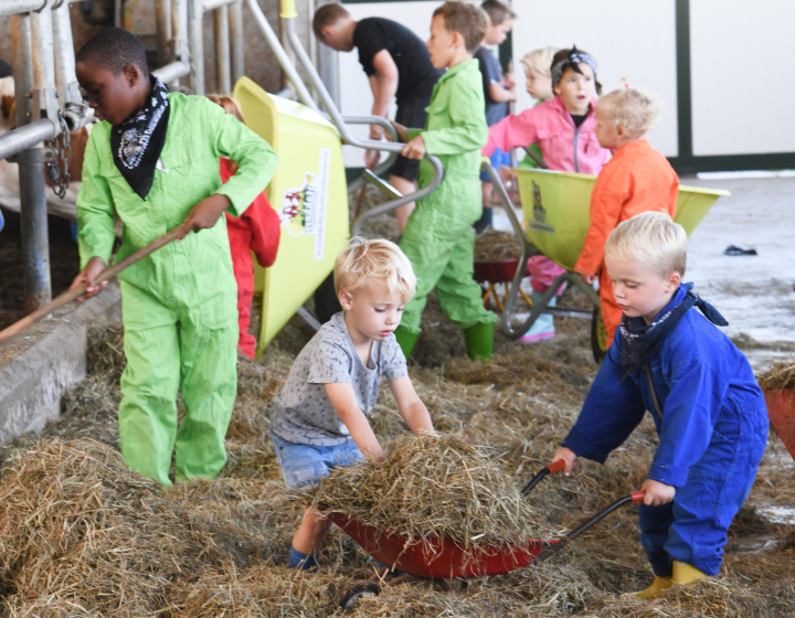 Kinderen helpen op de boerderij