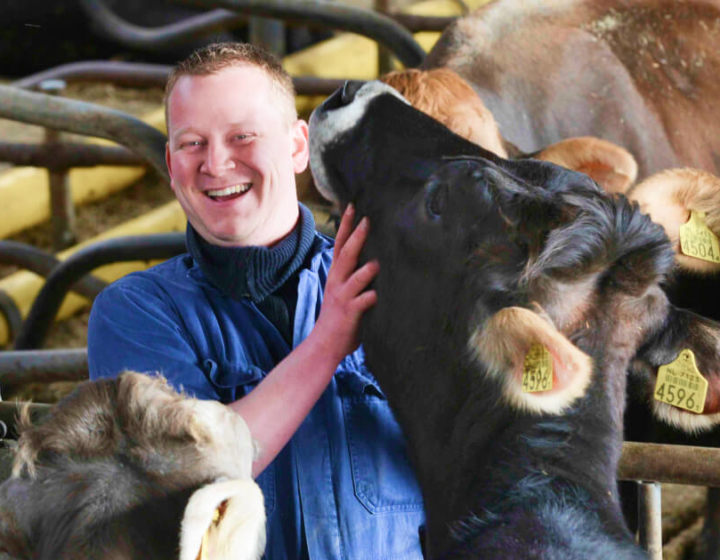 Boer knuffelt met een van zijn koeien